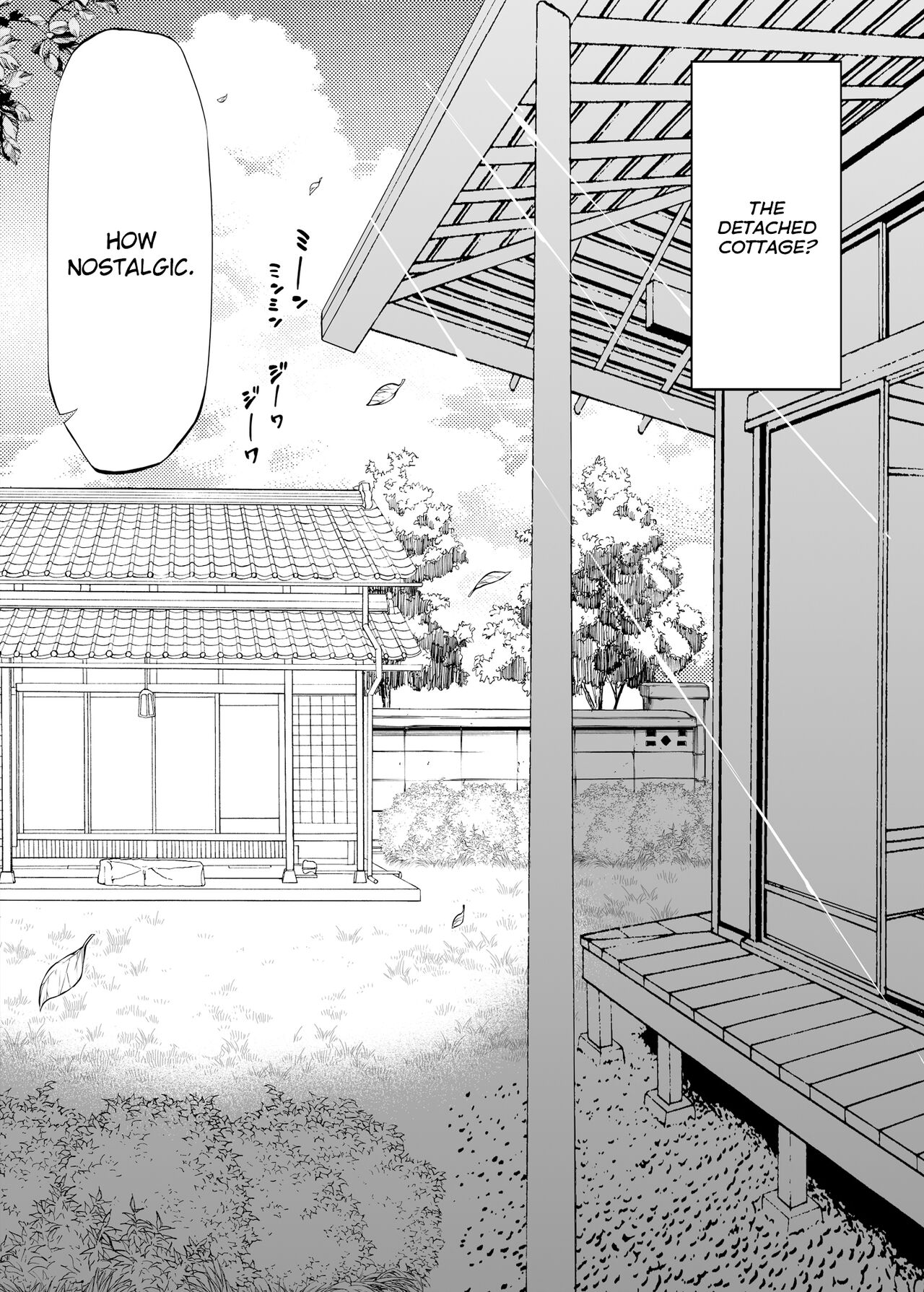 Natsu no Yari Naoshi -Inaka to Hanare to Bijin Shimai- - Page 13