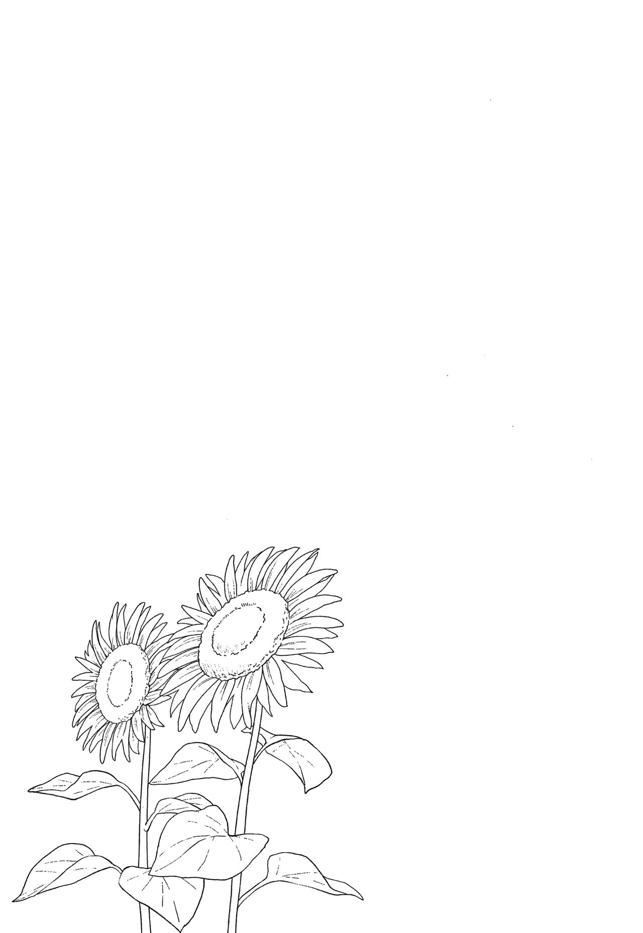 Shishunki no Obenkyou - Page 144