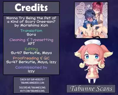 Chottto Kowai Oneesan ni Kawarete Mimasenka? - Page 15