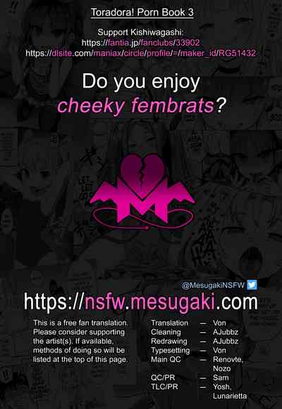 Toradora! no Erohon 3 - Page 18